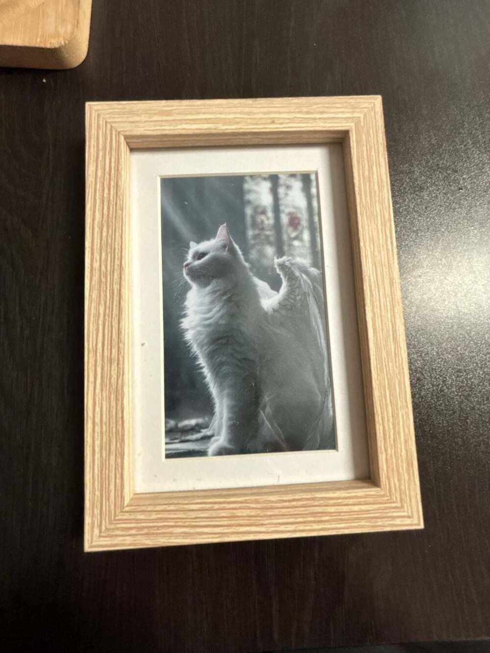 White Angel Cat Portrait Print in Light Wood Frame